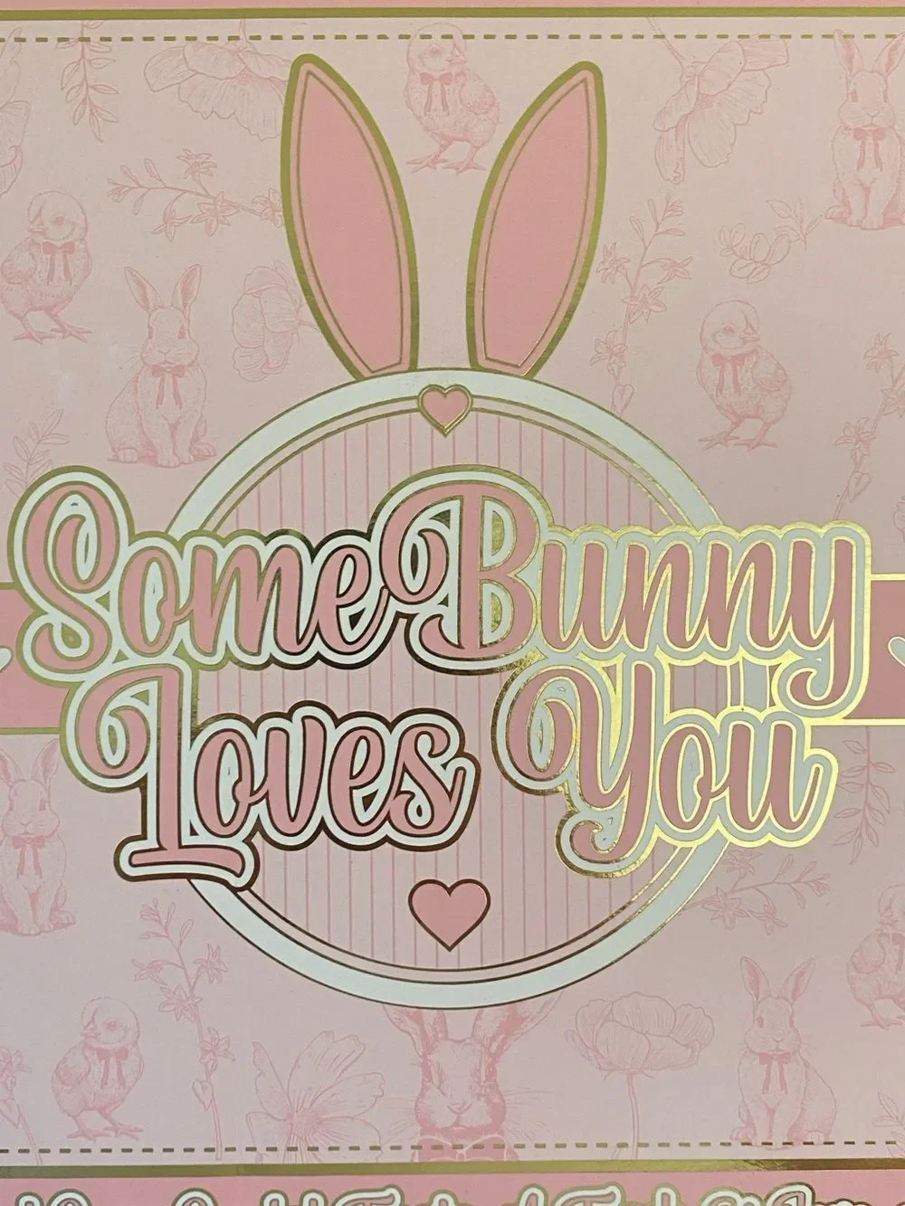 P.Louise Some Bunny Loves You Palette Book Lip Oils Bronzing Drops Gift Set NIB